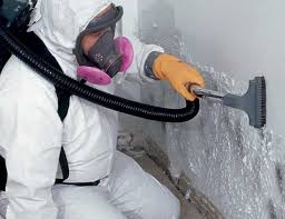 Best Crawl Space Mold Remediation  in Artesia, CA